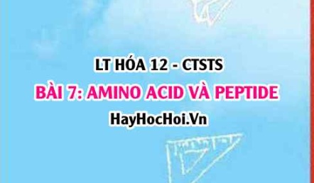 Peptide, Amino acid là gì? tính chất hóa học, vật lí của Amino acid, Peptide, cấu tạo Amino acid? Hóa 12 bài 7 CTST